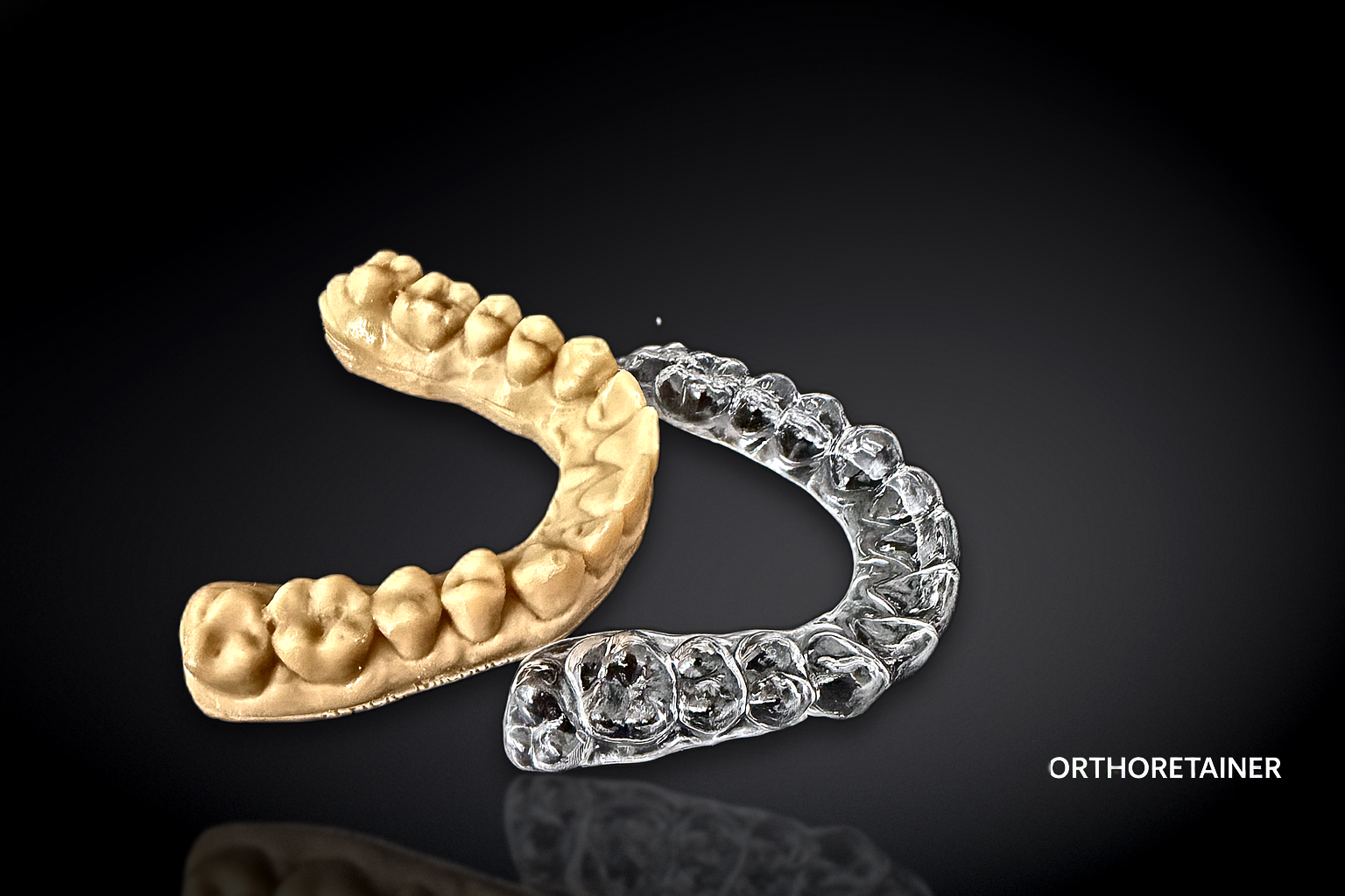 OrthoRetainer Retentionsschiene und Modell im Vergleich